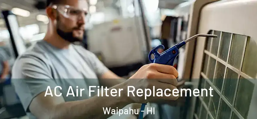  AC Air Filter Replacement Waipahu - HI