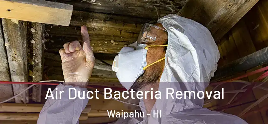  Air Duct Bacteria Removal Waipahu - HI
