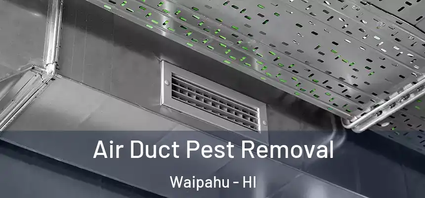  Air Duct Pest Removal Waipahu - HI