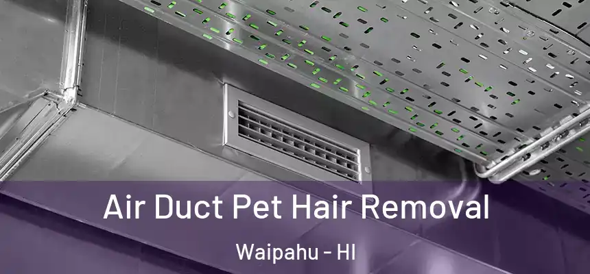 Air Duct Pet Hair Removal Waipahu - HI