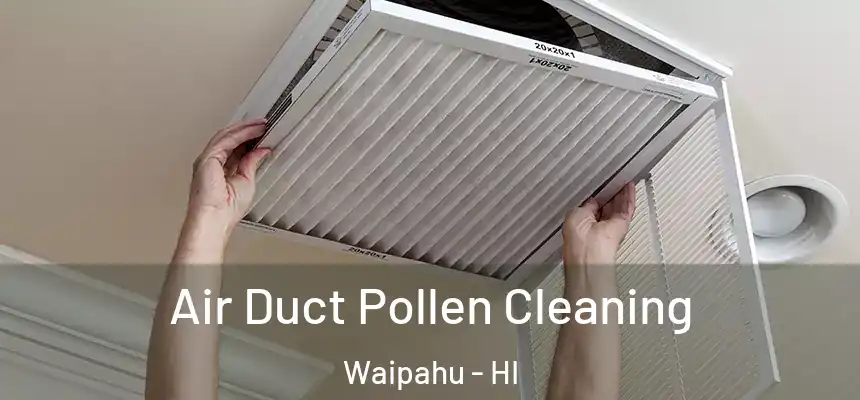  Air Duct Pollen Cleaning Waipahu - HI