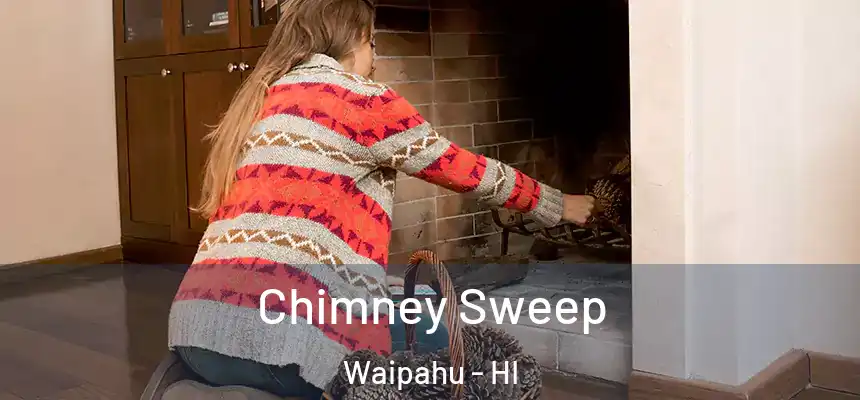  Chimney Sweep Waipahu - HI