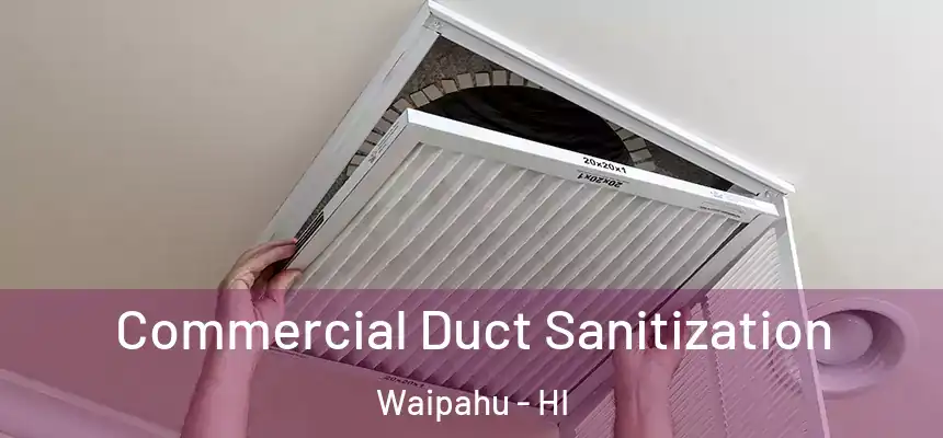  Commercial Duct Sanitization Waipahu - HI