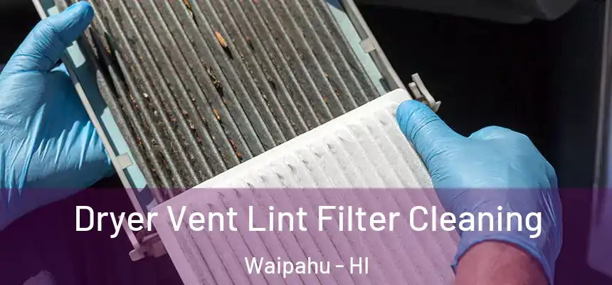  Dryer Vent Lint Filter Cleaning Waipahu - HI
