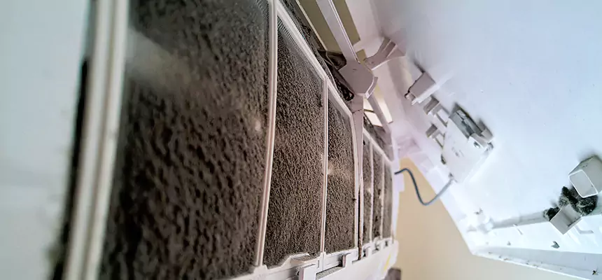 Preventive Air Duct Bacteria Removal in Waipahu