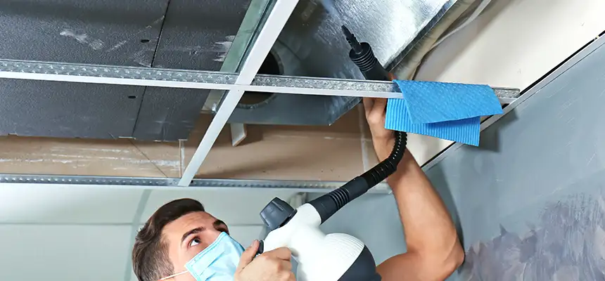 Our Air Duct Rodent Removal Services in Waipahu, HI