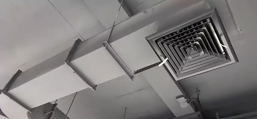 Restorative Allergy Relief Vent Cleaning – Coil, Blower & Housing Detail in Waipahu