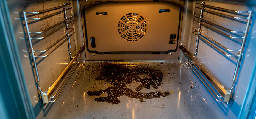 Our Dryer Vent Mold Cleaning Services in Waipahu, HI