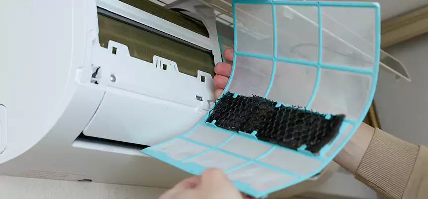 Gentle Ductwork Odor-Control Pet Dander Duct Cleaning in Waipahu, HI