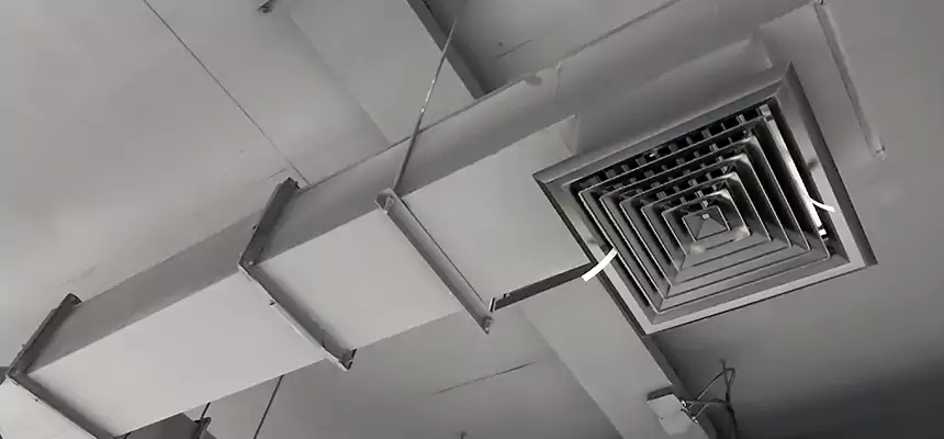 Our Rodent Droppings In Vents Services in Waipahu, HI