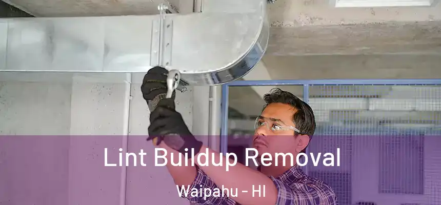  Lint Buildup Removal Waipahu - HI
