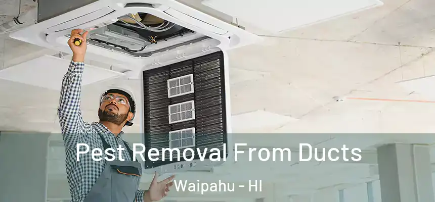 Pest Removal From Ducts Waipahu - HI