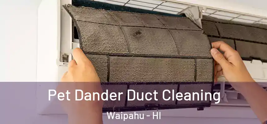  Pet Dander Duct Cleaning Waipahu - HI
