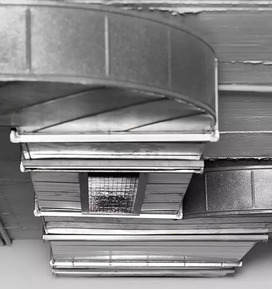 Professional Air Duct Pet Hair Removal in Waipahu, HI