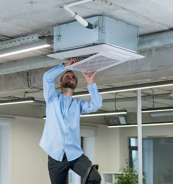 Advanced Rodent Droppings In Vents in Waipahu, HI