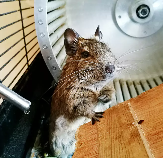 Why Homeowners & Businesses Trust Us Waipahu, HI?