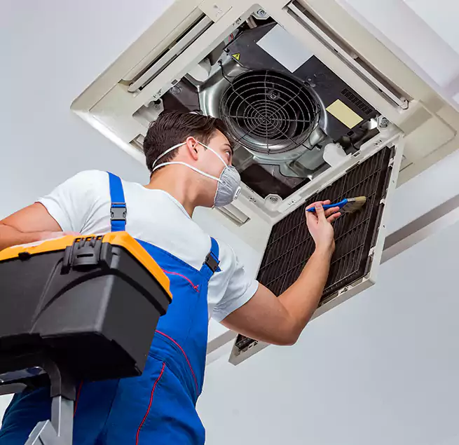 Why Homeowners & Businesses Trust Us in Waipahu, HI