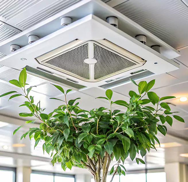 Why Homeowners & Businesses Trust Us in Waipahu, HI?