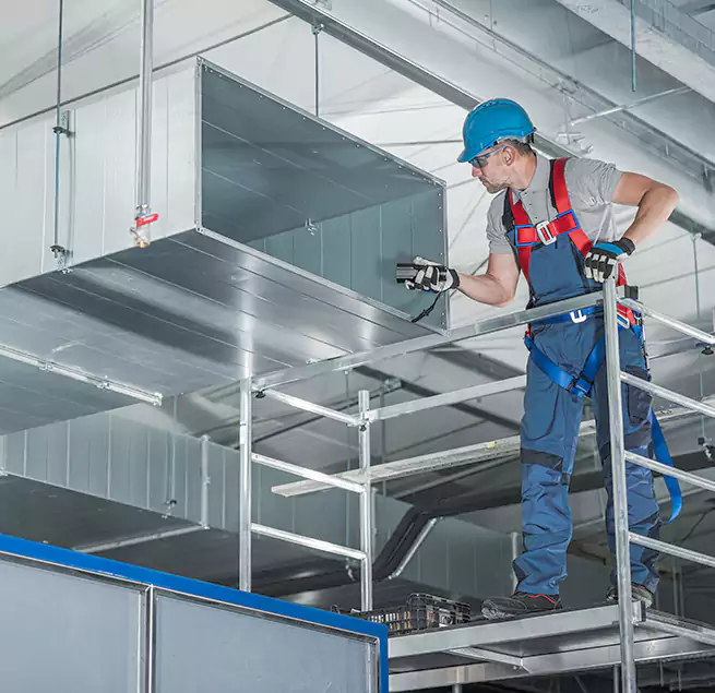 Why Homeowners Businesses Trust Us in Waipahu, HI