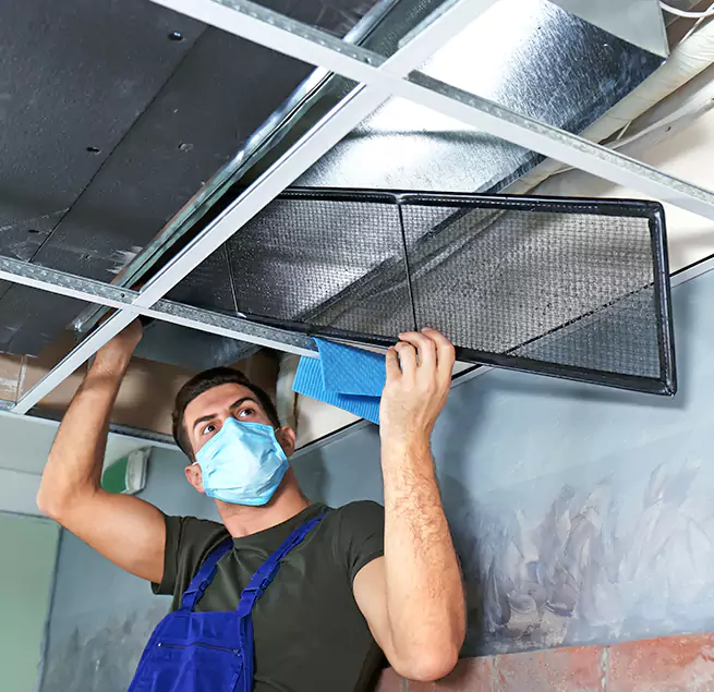 Why Homeowners Businesses Trust Us in Waipahu, HI?